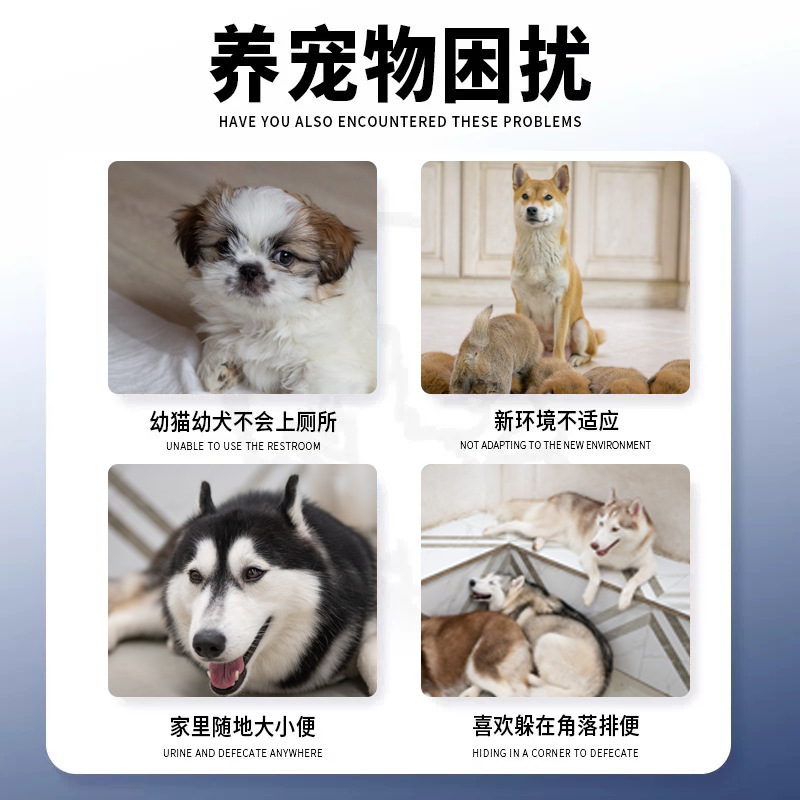 ペットの猫と犬はむやみに猫と犬の定点排便神器のトイレに行く誘導剤の犬の大きさと小便をします。|undefined