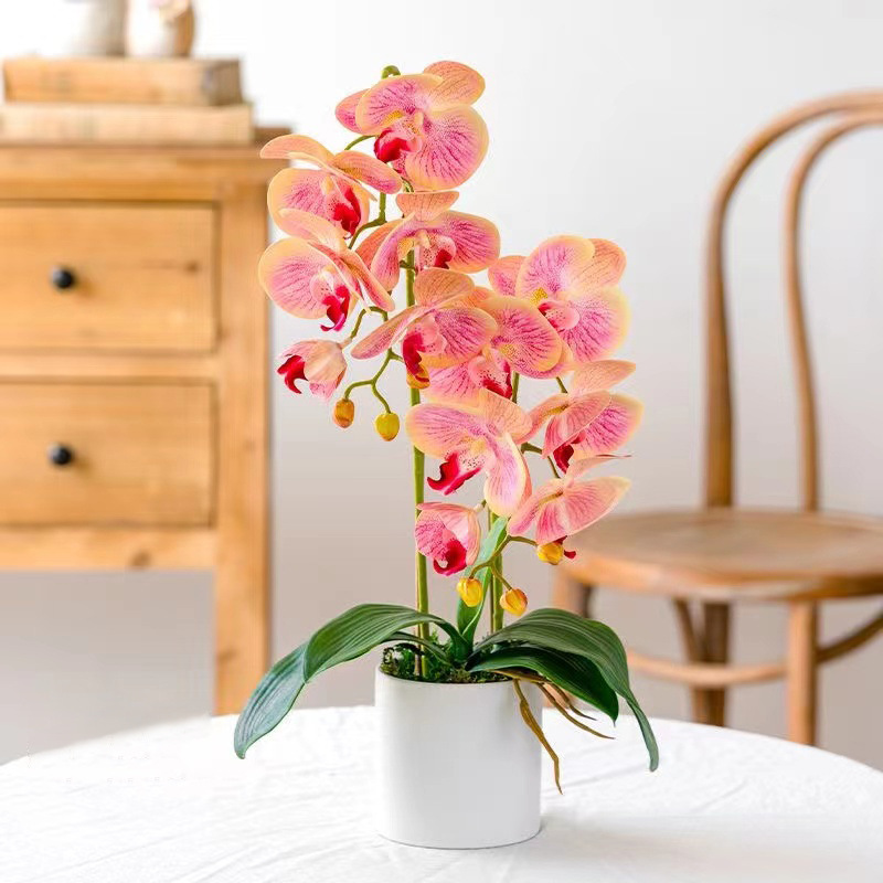 6-cabeza Phalaenopsis 3D-luz Rosa RW-6