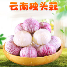 �����x����Ϫ��^�� 1/4����Ƥ������������^�߲˼tƤ��������[