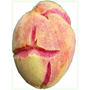 ��ը�Ҙ���������Ҽ޽��������Ҙ�����Ϸ������Nֲ�������