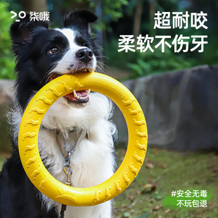 ������ߴ���Ȯ�A�h�w�P߅���l�����hĥ����ҧ�␞�����������