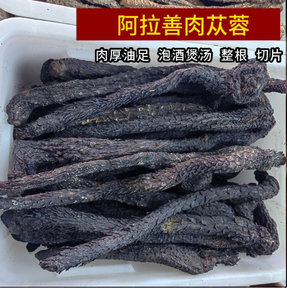 内蒙古阿拉善肉苁蓉 新疆软质肉苁蓉男士泡酒大芸沙漠人参代发