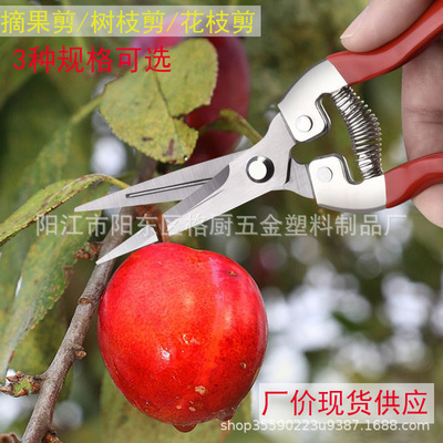 摘果剪 园林修枝剪树枝剪园艺绿化花枝剪 回弹省力剪厂家批发现货