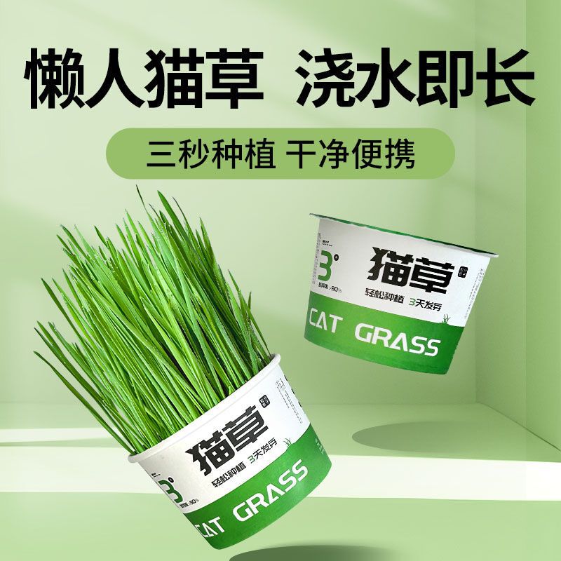 Cat Grass Potted Wheat Hydroponic Cat Grass Planting Lazy Cat Grass Canned Hair Ball Flakes Hair Grass Snacks Cat Grass Seeds