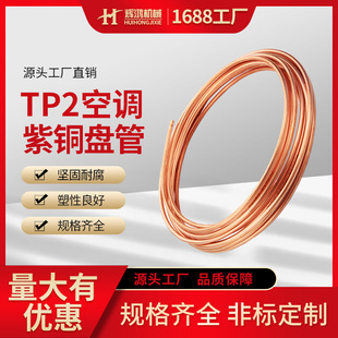 TP2�o�p���{���~�ܿ��{�����������~�P��С�ڏ�ë������P��