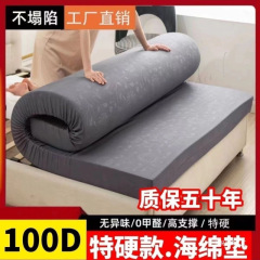 批发品述加厚高密度海绵床垫家用单双人学生宿舍榻榻米海绵垫软垫