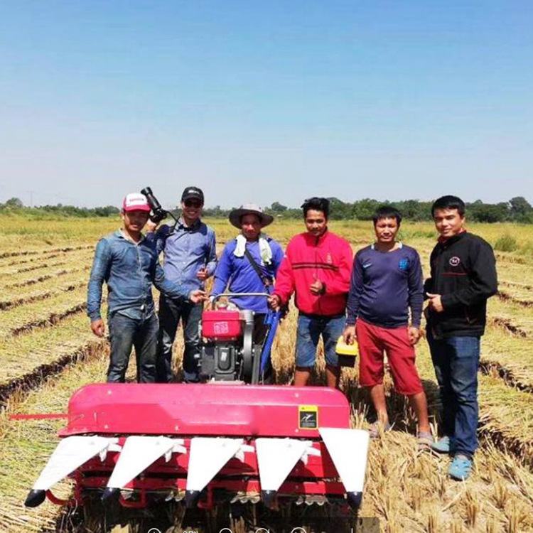 1米宽幅手推小麦割晒机 芝麻油菜收割机178柴油动力苜蓿草收割机