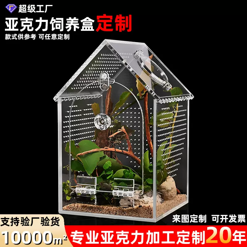 定制亚克力饲养盒小型爬行动物饲养栖息地爬行动物屋装饰品