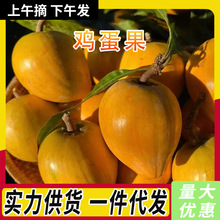 新鲜鸡蛋果当季热带水果特产批发蛋黄果香甜粉糯小众水果整箱包邮