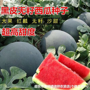 �o�����ϷN�Ӵ����Ƥ���ϷN�ӱ�Ƥ�o����o�Ѻڹ�������