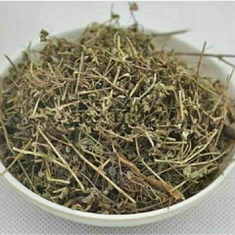 Dried Euphorbia Humifusa Di Jin Cao 500g Sliced Creeping Euphorbia Herb for Traditional Decoctions quality and texture