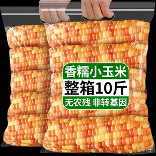 ������p��{��ŴС�������r���_��Ȼ�Ŵ���װ����b��Ͷ���