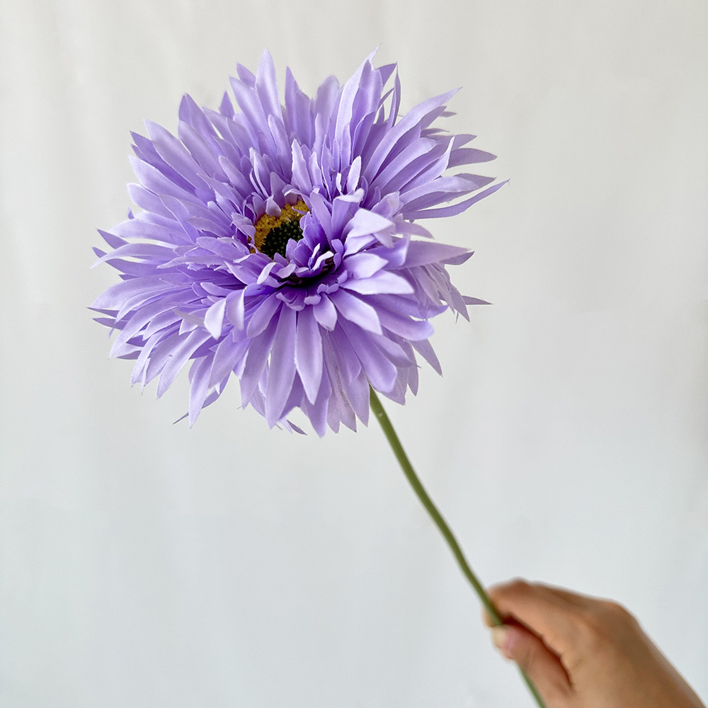 보라색