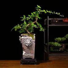 �͹��Ї��L�����h֦�߿��մɫF�^�脓������ʽ��ׯ���������辰��