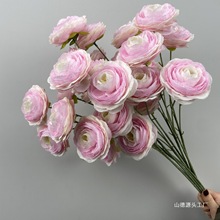 ��c��ɫϵ���Ć�ֻõ��ĵ���ٻ��Y��F����Y�����b�