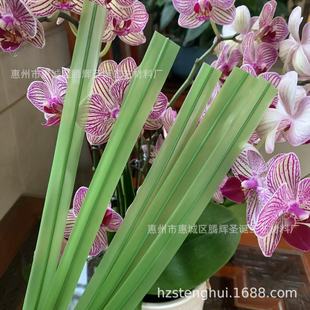 �S�����l�������τ��~�������~20����28���׷���ٺϻ��~�����b�