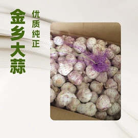 蒜;其他辛辣蔬菜;洋葱