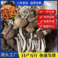 厂家直供古田新货不开伞茶树菇干货散装批发500g茶薪菇冰菇包邮