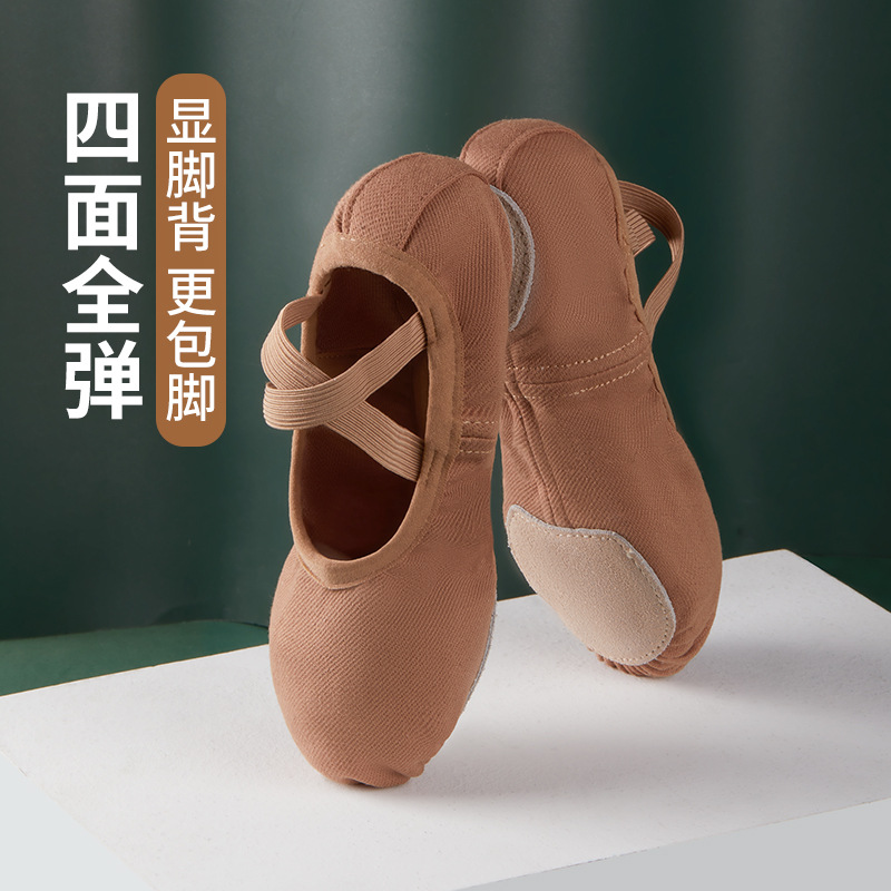 Full Elastic Cloth Dance Shoes Soft Sole Women's Summer Practice Adult Chinese Ballet Children's Classical Teacher Professional New Style