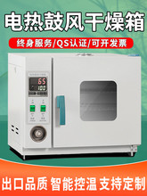 现货电热恒温鼓风干燥箱高温加热小型工业烤箱医用烘干机实验室烘