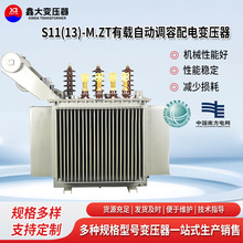 农村电网S11(13)-M.ZT有载自动调容配电变压器全密封油浸变压器