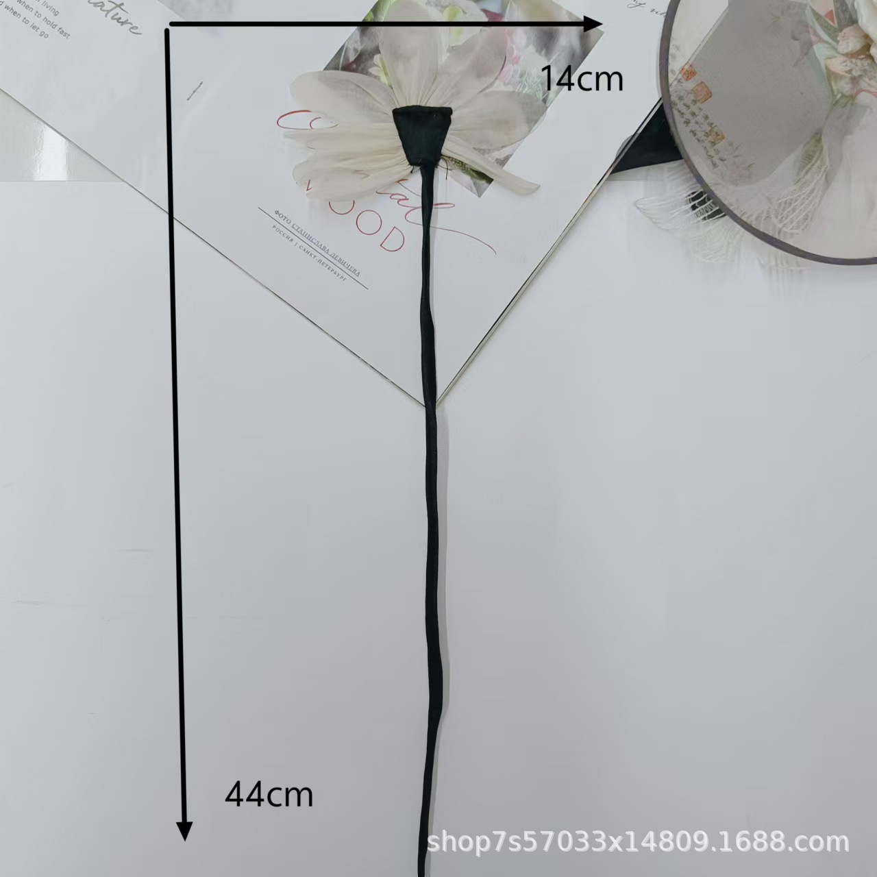 微信图片_20241031124611