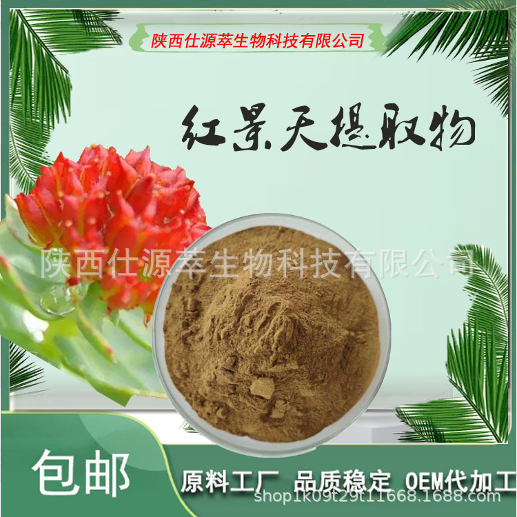 红景天提取物  总罗塞维3% 红景天甙1% 红景天苷 厂家现货 包邮