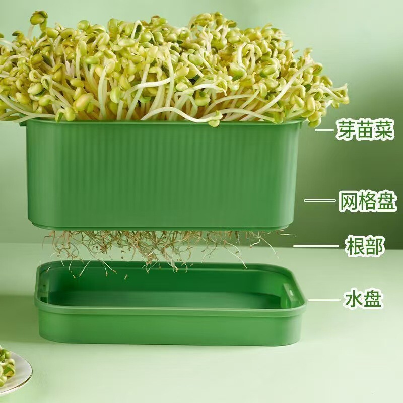 特大苗トレイ、発芽ポット、黄緑豆もやし、無土壌栽培、水耕もやしトレイ、もやし製造品|undefined