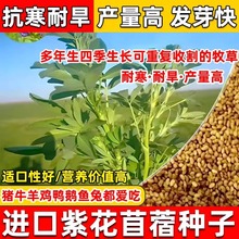 ϻޣݷNѶļBֳιiuZ~ѷNֲݷN