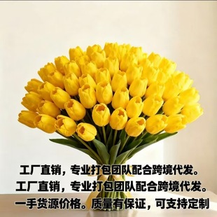 ���R�dtemu������羳ƽ̨������滨����Gֲ�ٻ�Դ�^�����S��