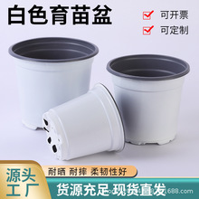 ��ɫ�pɫ��������Nֲ��S�����l���ػ�������������ɫ�pɫ��