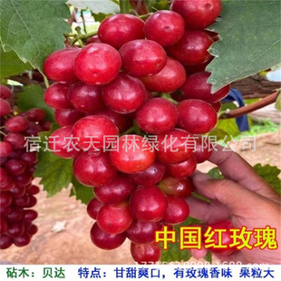 �tõ����ӡ�������������������1̖һ̖���_ɯ�������ָ���ј�