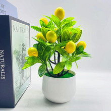 Լٻ辰ˮ辰12ˮĭ辰컨[