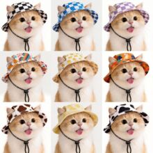 �羳����ñ���ļ����ñ�O��ñ���R�d������Ʒ�ɶ���؈��ñ�����l