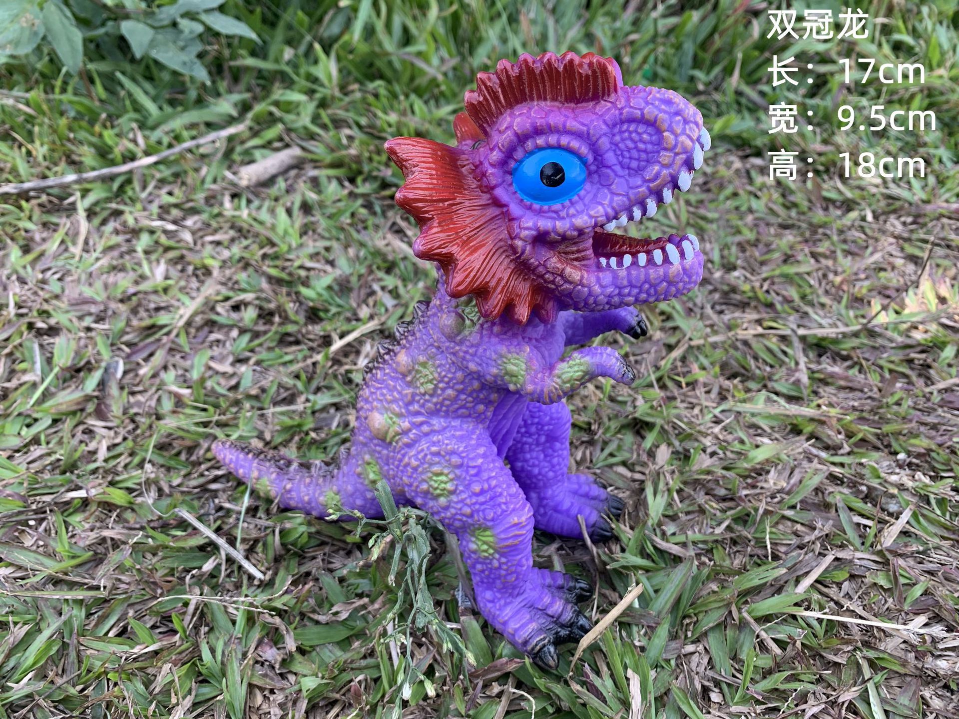 New Little Double Crown Dragon BB called