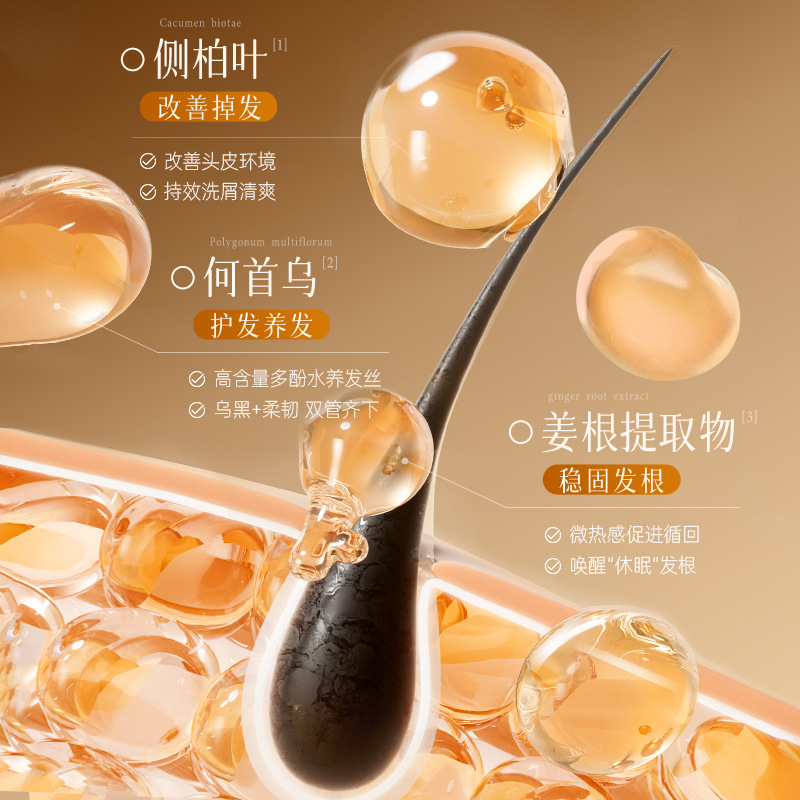 Beiling Brightening Ganoderma Lucidum Herbal Anti-Ruptura Shampoo Limpieza profunda y suave para mejorar la calidad del cabello image 4