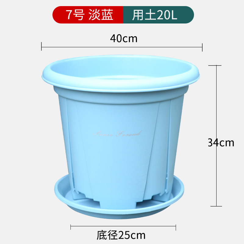 特大サイズの厚いガロン鉢青山プラスチック鉢に木を植えます。|undefined