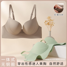 �����o�۾۔n���w�@�����Ůܛ֧�����з��´��������{����������