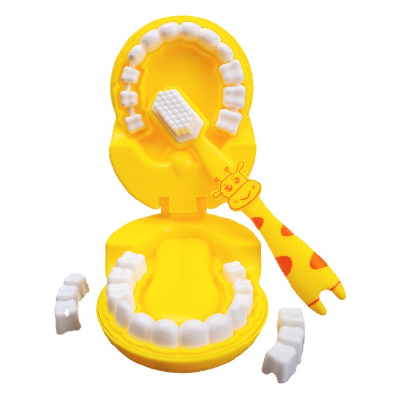 Source manufacturers new small dental model doctor toy dental model accessories fun interactive play house innovative toy dental model