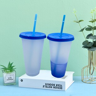 24ozpp�М�����׃ɫƽ�w��������700ml���ܱ���׃ɫѭ�hʹ��10ɫ