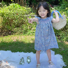 女童夏装外贸绣花婴儿裙女童裙子连衣裙碎花打揽宝宝裙娃娃裙