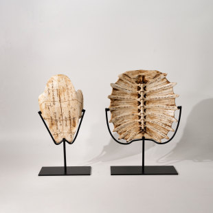 �F���йŸ߶˷¹Ż�ʯ�׹�����������[�������k���ҹ�ˇƷ�b�Ʒ