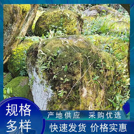 青苔野山石园林景观石庭院鱼池假山石绿地草坪点缀装饰摆件石头