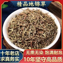 武当山野生整株地锦草中药材搭配茵陈组合密文一件代发调理药用