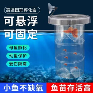 Shengke Analysis Fish Tank Peacock Fish Isolation Box Breeding Incubation Box Living Water Floating Sucker Small Fish Fry Production Room