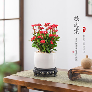 �F�������Ի����҃��辰�^���Gֲ�_ ??������÷�k���̨����ֲ��