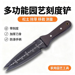 ���l����๦���P �p�X���û��@�P 31.5cm ���È@��С�P