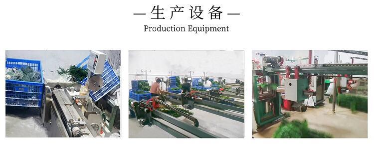 750300 QQ截图20241016094523