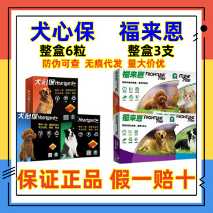 ������Ȯ�ı�С��Ȯ�΄�����Ȯ�΄�����Ȯ�΄�؈�΄������w����x