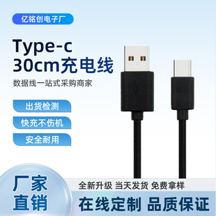 �̾�Type-c30cm��늾�USB��侀0.3m��늾��m���{����푿��늾�